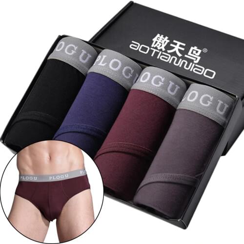 4pcs sexy briefs Mens Underwear Soft Underpants Male underwear Brief Shorts Knickers briefs Convex Pouch L/XL/XXL/3XL/4XL/5XL