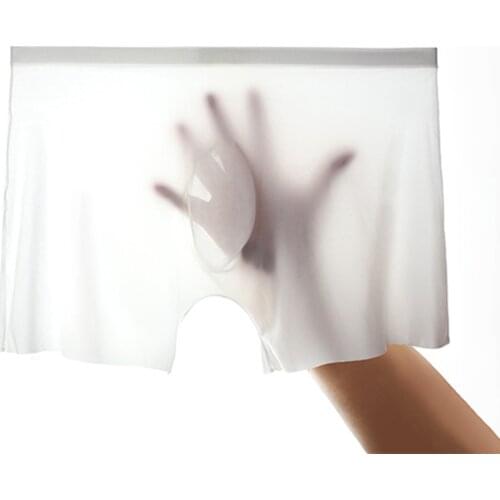 Soft Sexy Super Thin Mens Underwear Ice Silk Boxers Shorts Transparent Low-rise Trunks Breathable Men Cueca Homme Panties