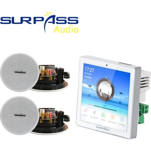 Flush-mounted Online Radio Panel Wall Amps Smart Home Theater System WIFI Bluetooth Bathhouse Keypads With Column Hearing