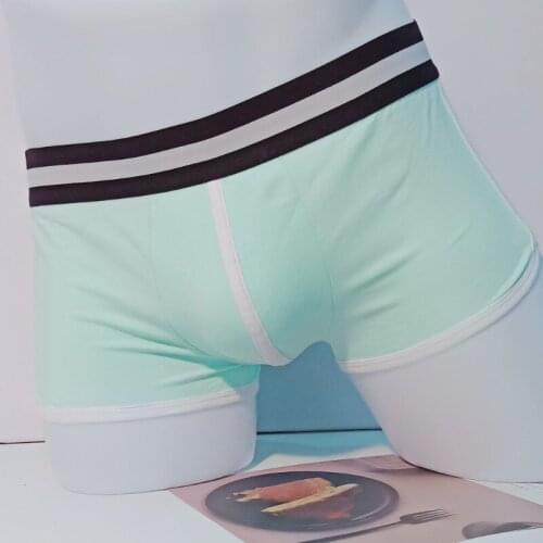 Mens Underwear Cotton Boxers Man Breathable Panties Man Trunk Boxer Solid Underpants Comfortable Underpants
