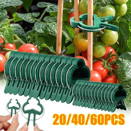 20/40/60Pcs Grafting Clips Greenhouse Clamp Stand Plastic Plant Clip Fastener Bracket Fixed Seed Stem Support Plant Grafting
