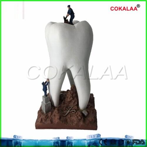 Good quality Dental Artware Teeth Handicraft Dentist Gift Resin Crafts Dental Clinic Decoration Furnishing Articles Creative