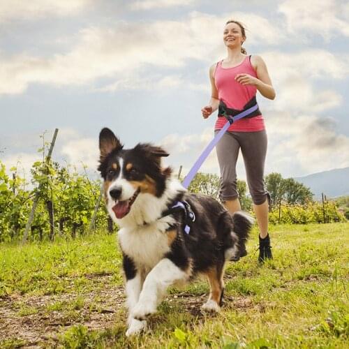 Outdoor Waterproof PVC Dog Leash Double Head two dog Leashes Adjustable Long Short pet Walking Training Lead Tied dogs rope