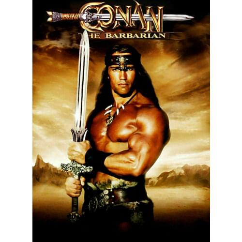 Arnold Schwarzenegger CONAN THE BARBARIAN Movie Silk Fabric Wall Poster Art Decor Sticker Bright