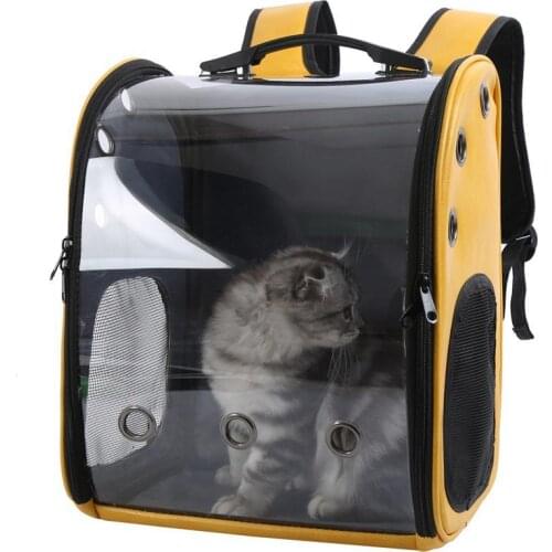 New 2021 Pop It Cat Transport Bag Pet Knapsack Ventilation Cats Go Out Transportation Portable Transparent Backpack Pet Supplies