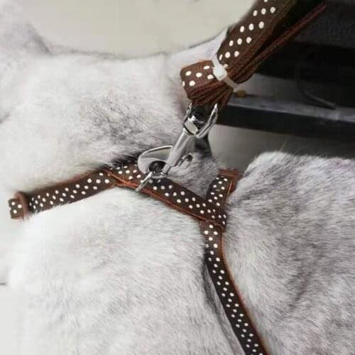 Pet Harness Leash Traction Belt Adjustable Pet Lead Collar Practical Cat And Dog Collar Reflective Seat Belt