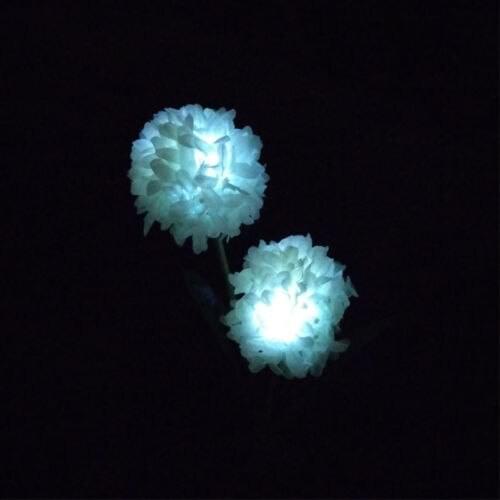 1.5kg Feeder 1.5L Drinker Chicken Poultry Chick Food And Water Accesories Convenient Use