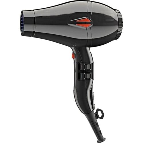 Professional Hair Dryer 220V
