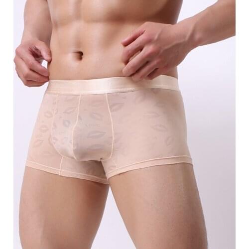 2021 High-end Fashion Sexy Man Mesh Boxers Breathable Transparent Lace Mens Underwear Ultra-thin U Pouch Male Underpants