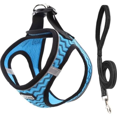 Dog Harness and Leash Set Breathable Mesh Dog Harness for Small Dogs Reflective Soft Pet Harness with Walking Leash Non-Escape