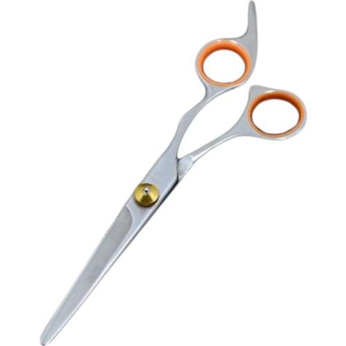 Professional Hair Cutting Thinning Scissors Hair Scissors Hairdressing Scissors Style Barber Tool For Hairdresser