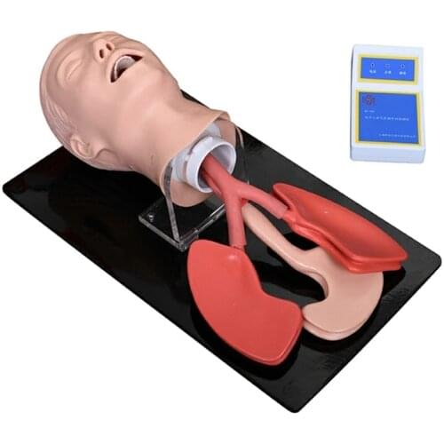 Medical Teaching Advanced Human Trachea Intubation Model