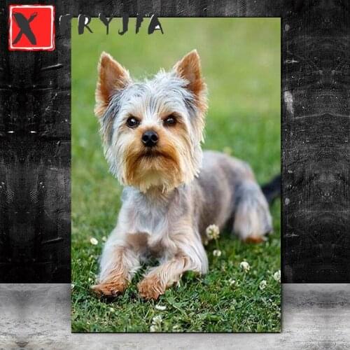 Full Square round Diamond Yorkshire Terrier 5D DIY Diamond Painting Embroidery Cross Stitch kits diamond Mosaic Home Decor