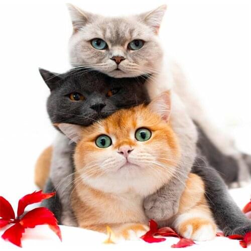 Animal Cat DIY Cross Stitch 11CT Embroidery Kits Craft Needlework Set Cotton Thread Printed Canvas Home Decoration Design