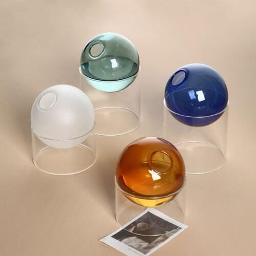 Nordic Glass Transparent Vase Living Room Flower Arrangement Creative Simple Desktop Hydroponic Spherical Decoration Colorful