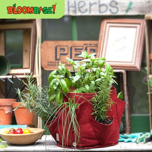 2/5 Gallon Herb Vegetable Planting Pot Multi-Pocket Vegetable Growing Artifact Environmental Protection Organic Vegetable Bags