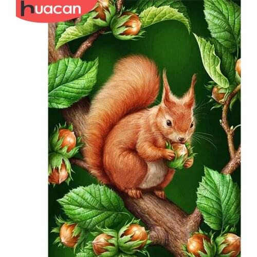 HUACAN 5d Diamond Painting Squirrel Home Decor DIY Diamond Embroidery Cross Stitch Animal Rhinestone Kit Handmade Gift