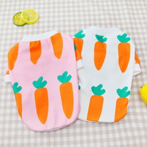 Print Dog Hoodie Clothes Autumn Winter Warm Pet Sweatshirt Clothing for Chihuahua Yorkshire Pet Puppy Dog Pullover Dog Outfits