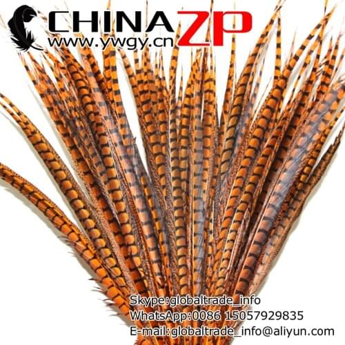 CHINAZP Factory 50pcs/lot 90~100cm(36~40 inch) Length Exporting Good Quality Dyed Orange Lady Amherst Pheasant Tail Feathers