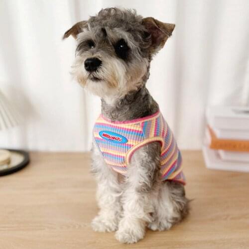 Cats Dogs Summer Clothes Rainbow Striped Dog Cat Vest T Shirt Para Perro Kawaii Korea Style Dog Cooling Clothes Pomeranian Corgi