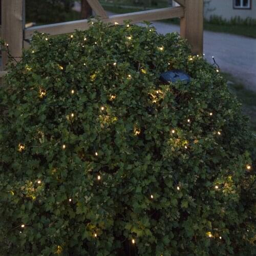 Star Trading LED Bulbs