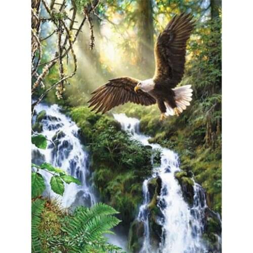 5D DIY Diamond Painting Square Round Diamond Embroidery Landscape Painting Eagle Home Decoration Cross Stitch Gift WG2280