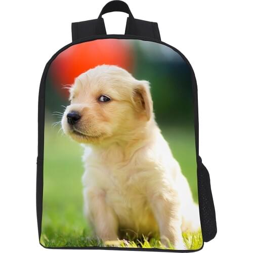 Ранцы для девочек CAIWEI China At AliExpress