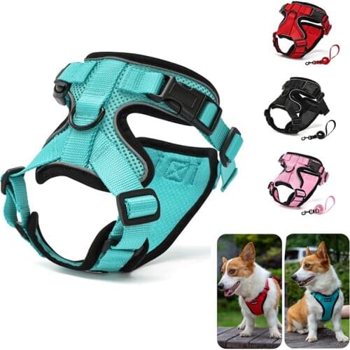 Cat Harness Leash Set Kitten Harness Adjustable Cat Vest with Reflective Strip Universal Cat Leash Outdoor Walking Accessories