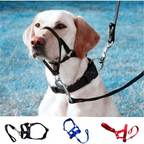 2021 New Training Puppy Head Collar Halter Pet Mouth Traction Set Dog Muzzle Leash Leader No Pull Strap S-XXL