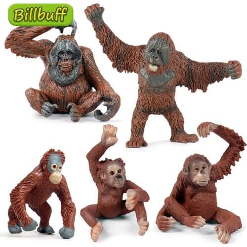 Simulation Wild Animals PVC Orangutan Cub Model Action Figures Collection Miniature Cognition Educational Toys for children Gift