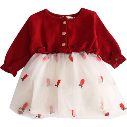 Infant Baby Dress Autumn Newborn Cotton Long Sleeve Toddler Lovely Dresses Tulle Baby Girls Clothes for 1st Birthday Party