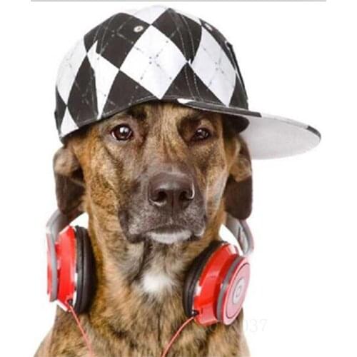 Diamant Diy 5D Diamond Painting Cross Stitch Wear Hat To Listen The Dog Needlework 3D Diamond Embroidery Full Diamond Decorative