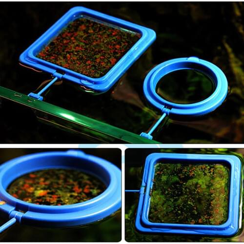Feeding Ring Feed Fish Feeding Grain Fish Aquarium Feeder Automatic Feeder Fish Ring Ornamental Guppy Square/Circle