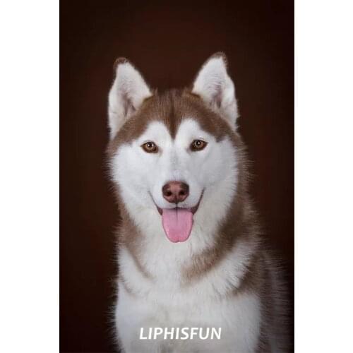 LIPHISFUN Diamond Painting Embroidery Cross Stitch Home Decor Square/round DIY 5D Full Drill Cute Dog Husky Animal Fantasy