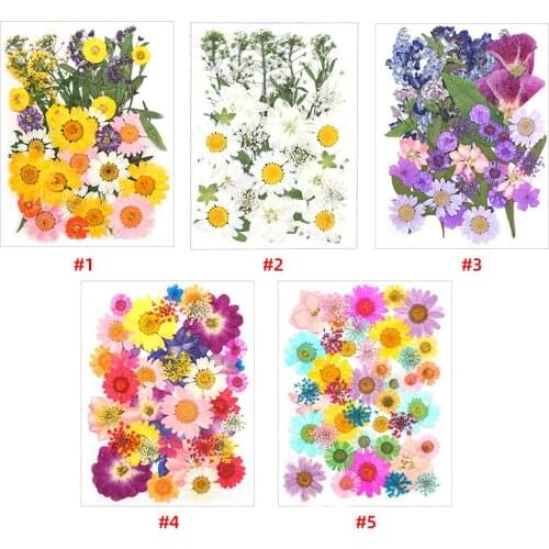 DIY Dried Flowers Resin Mold Fillings UV Expoxy Flower for Nail Art Pressed Flowers for Home Decor Handicraft Dried Pressed Flo
