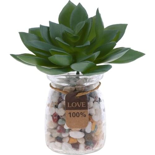 Miniature Pvc Artificial Succulents Decoration for Home Cafe