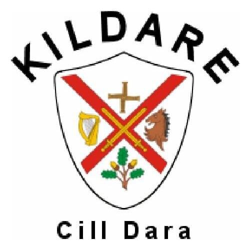 County Kildare Flag Irish State 150X90CM Banner 100D Polyester3x5 FT Brass Grommets 001, Free Shipping