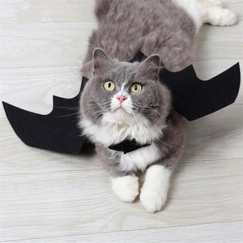 Dogbaby Clothes For Cats