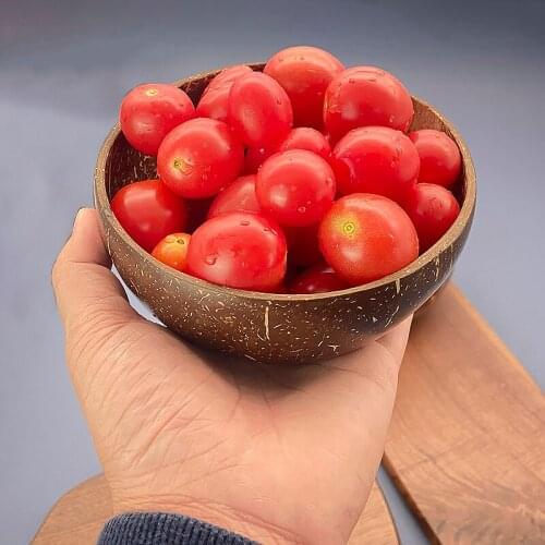 Natural Coconut Bowl set smoothie bowl Decoration Fruit Salad Noodle Rice coco Handicraft Decoration Creative Wooden tableware