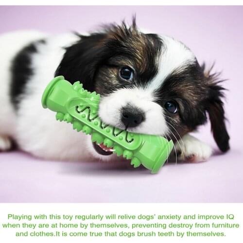 Dog Toys Chew Toys Interactive Bite Bone 1Pcs Rubber Toothbrush Toys Dog Dental Care Doggy Brushing Stick Teeth Cleaner For Dogs