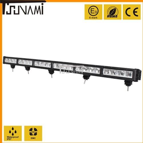 TSJNAMI Spotlights