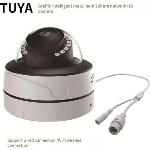 Tuya 1080P Camera 2MP Vandal-proof IP Camera WiFi with SD Card Slot P2P Motion Detect Alert Dome Security Camera IP WiFi 1080P