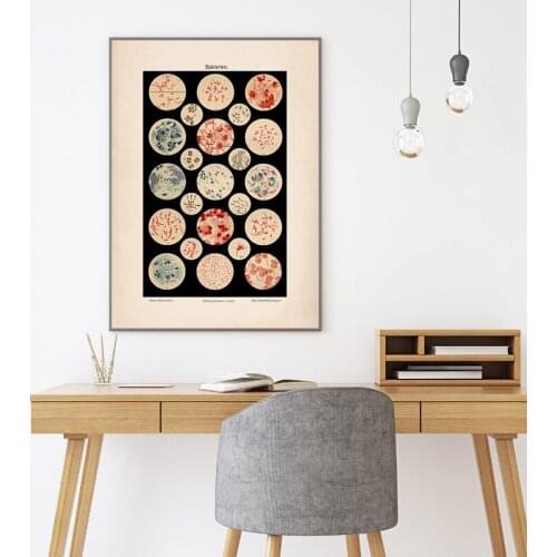 Microbiology Bacteria Microbe Art Print Old Medicine Poster Science Wall Art Canvas Painting Picture Biology Study Vintage Decor