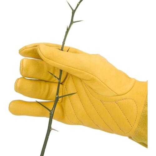 A Pair of Leather Rose Pruning Gloves for Men and Women Thorn Resistant Gardening