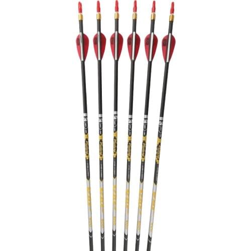 Archery Carbon Arrow Spine350-900 30.5inch ID4.2mm Shaft Palstic Vanes Tips Nocks for Compound/Recurve Bow Shooting