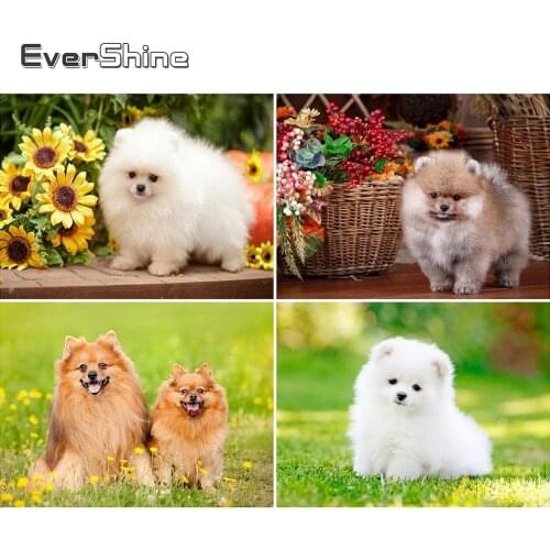Evershine Diamond Embroidery Cross Stitch Dog Diamond Painting Animal Full Square Set Diamond Mosaic Handcraft Decoration Home