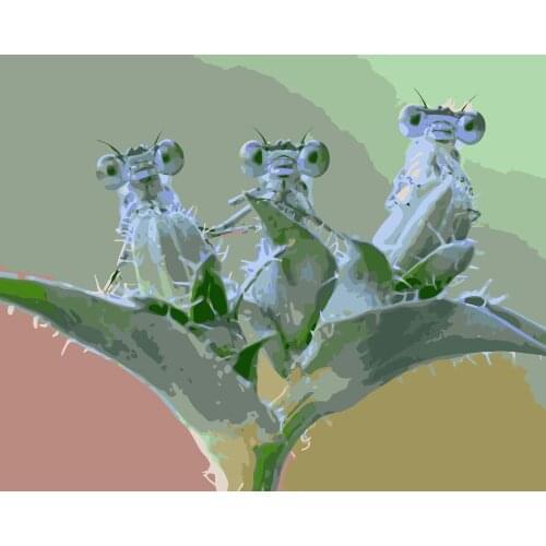 MaHuaf-j458 Dragonfly DIY Painting Kit Paint By Numbers Kit DIY Oil Painting On Canvas Gifts Wall Art