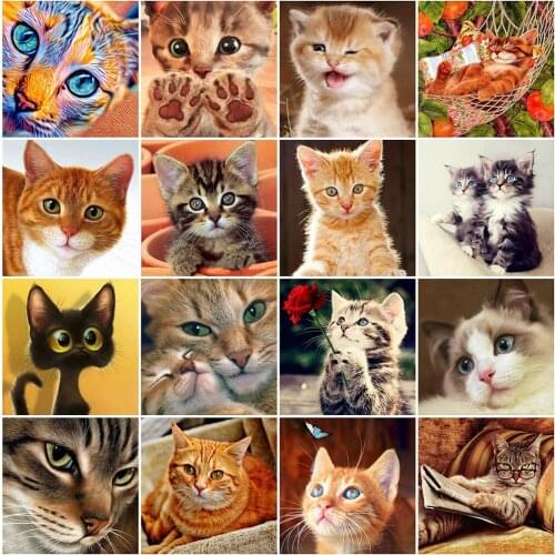 MomoArt 5D DIY Diamond Embroidery Cat Craft Kit Diamond Painting Animal Diamond Mosaic Full Layout Home Decor Gift