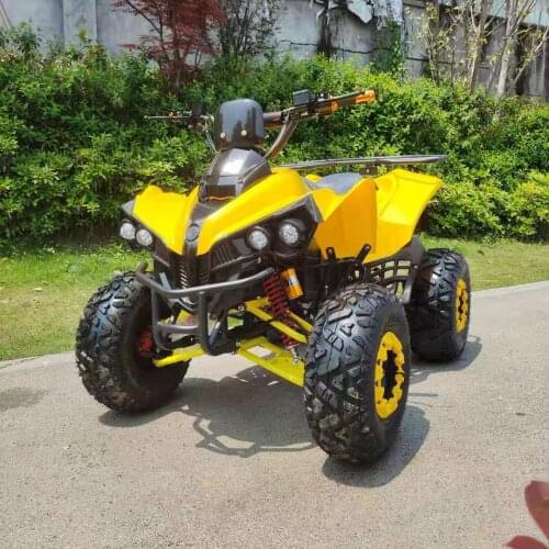 60V1000W Electric Cassidy ATV, Electric ATV, UTV, Gasoline ATV
