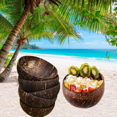 12-15cm Natural coconut bowl set handmade coconut shell tableware wood spoon dessert fruit salad mixing bowl rice Ramen bowl